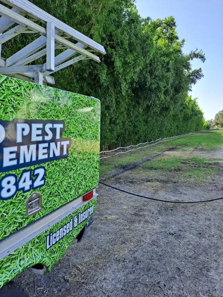 Rhino Pest Management technician on a ladder treating tall coconut palms at a waterfront property near Vero Beach