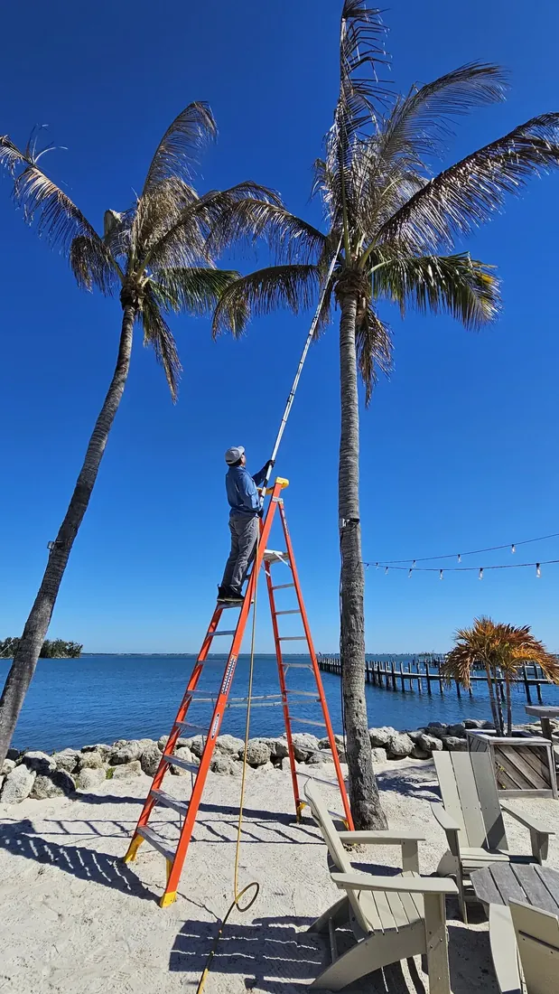 Rhino Pest Management pest control service in Vero Beach, FL
