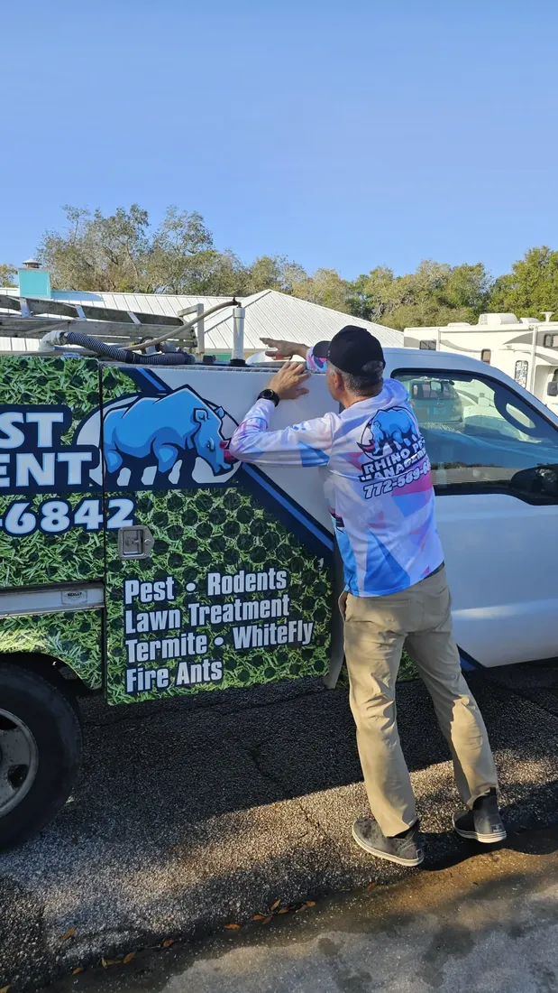 Termite Control — Rhino Pest Management